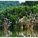 Thung Nham - Bird Valley